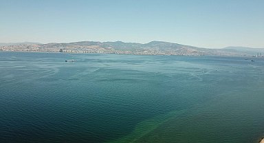 'Ege Denizi'nde egzotik türlerde artış yaşanırken yerli balık türlerinde azalış görülüyor'