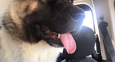 'Haki'yi tekmeyle öldüren sanığa 6 bin 720 TL para cezası