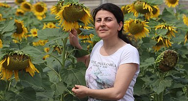 'İklim değişikliği bitkileri göç ettiriyor'