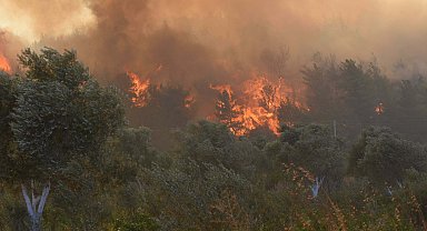 'İzmir'de toprak kurudu, en küçük kıvılcımda çıra gibi tutuşuyor'