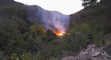 Adana'da bahçe yangını, ormana sıçramadan söndürüldü