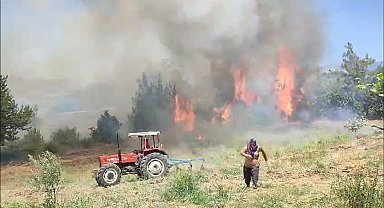 Adana'da orman yangını