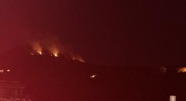 Adana'da orman yangını