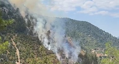 Adana'da orman yangını
