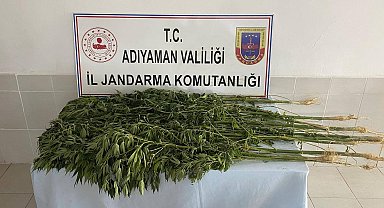 Adıyaman'da uyuşturucu operasyonu: 28 gözaltı