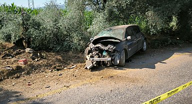 Ağaca çarpan otomobilin sürücüsü öldü