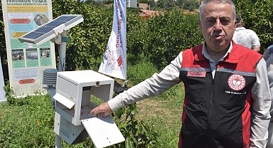 Akdeniz meyve sineğiyle mücadele