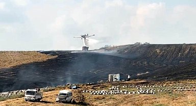 Anız yangını arı kovanlarına zarar verdi