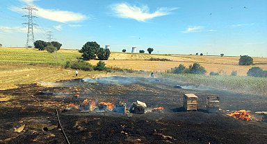 Anız yangının sıçradığı, içinde arıların olduğu 200 kovan yandı