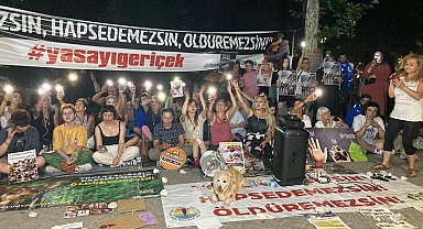 Ankara'da Sokak Hayvanlarına Yönelik Yasa Teklifine karşı protesto