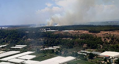 Antalya'da orman yangını