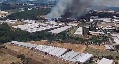 Antalya'da orman yangını