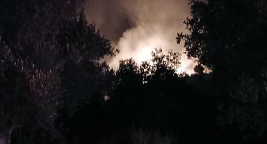 Antalya'daki orman yangınında 7 dekarlık alan zarar gördü