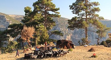 Antropoloji bölümünde eğitim almak için 9 neden