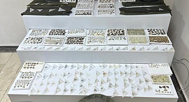 Araçta 1472 kelebek ele geçirildi; yabanca uyruklu 1 kişiye gözaltı