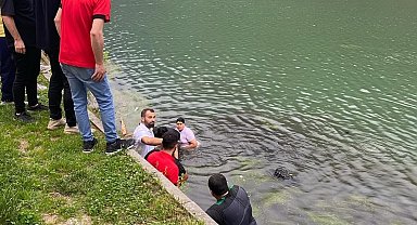 Arap turistler, golf aracıyla Uzungöl'e düştü