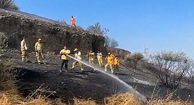 Aydın'da makilik yangını kontrol altında