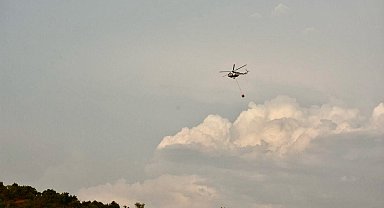 Aydın'da orman yangını