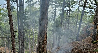 Aydın'da ormanda 5 ayrı yere düşen yıldırım yangılara neden oldu
