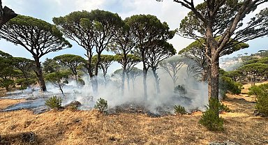Aydın'da yıldırım kaynaklı 7 noktada çıkan yangınlarda 10 dönüm alan zarar gördü