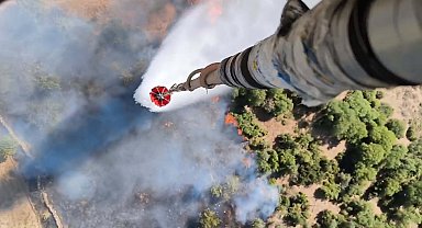 Aydın'da zeytinlik yangını