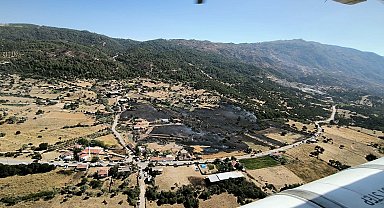 Aydın'daki yangında 20 dönüm arazideki zeytin ağaçları zarar gördü