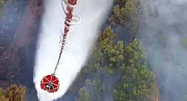 Balıkesir Gömeç'te orman yangını