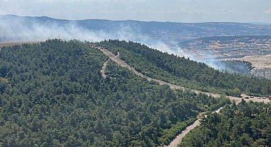Balıkesir'de 2 ilçede orman yangını