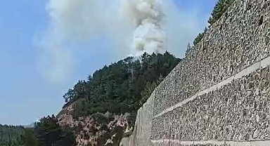 Balıkesir'de minibüste çıkan yangın ormana sıçradı