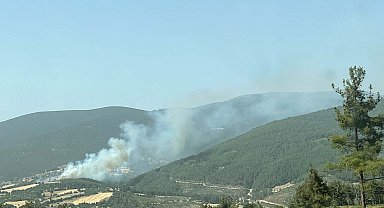 Balıkesir'de orman yangını