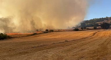 Balıkesir'de orman yangını
