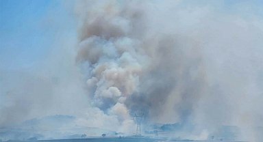 Balıkesir'de orman yangını