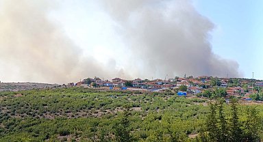 Balıkesir'de orman yangını