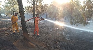 Balıkesir'de orman yangını