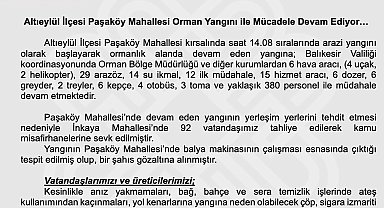 Balıkesir'de orman yangını