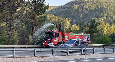 Balıkesir'de orman yangını