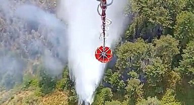 Balıkesir'de orman yangını