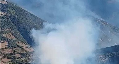 Balıkesir'de orman yangını