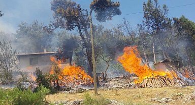 Balıkesir'de orman yangını