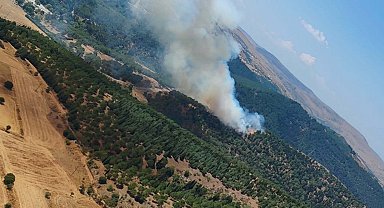 Balıkesir'de orman yangını