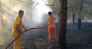 Balıkesir'deki orman yangını 2'nci gününde