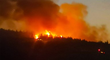 Balıkesir'deki orman yangını kontrol altında