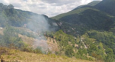 Bartın'da tarladaki anız ateşi ormana sıçradı