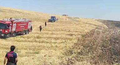 Batman'da anız yangını; bin dönüm alan zarar gördü, 200 ton saman balyası yandı
