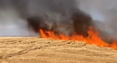 Batman'da anız yangınında 50 dönüm arazi zarar gördü