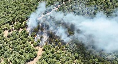 Bayramiç'teki orman yangını 24 saat sonra kontrol altına alındı