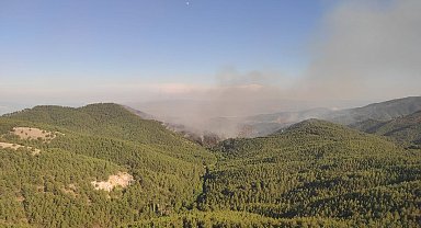 Bergama'da orman yangını