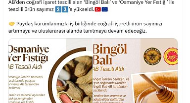 Bingöl balı ve Osmaniye yer fıstığı, AB tescili aldı