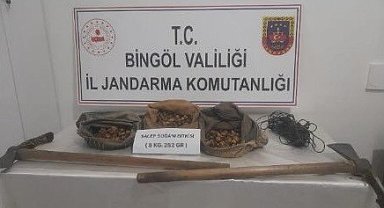 Bingöl'de 8 kilo 'salep soğanı' ele geçirildi; 3 şüpheliye 1.2 milyon TL ceza