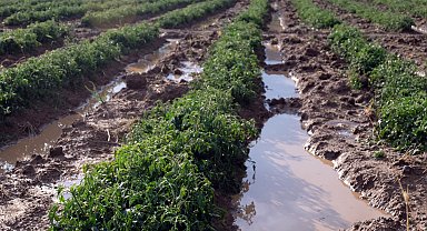 Bingöl'de sağanak ve dolu etkili oldu; ekili araziler zarar gördü